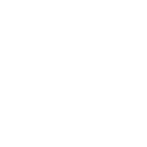 suzano2